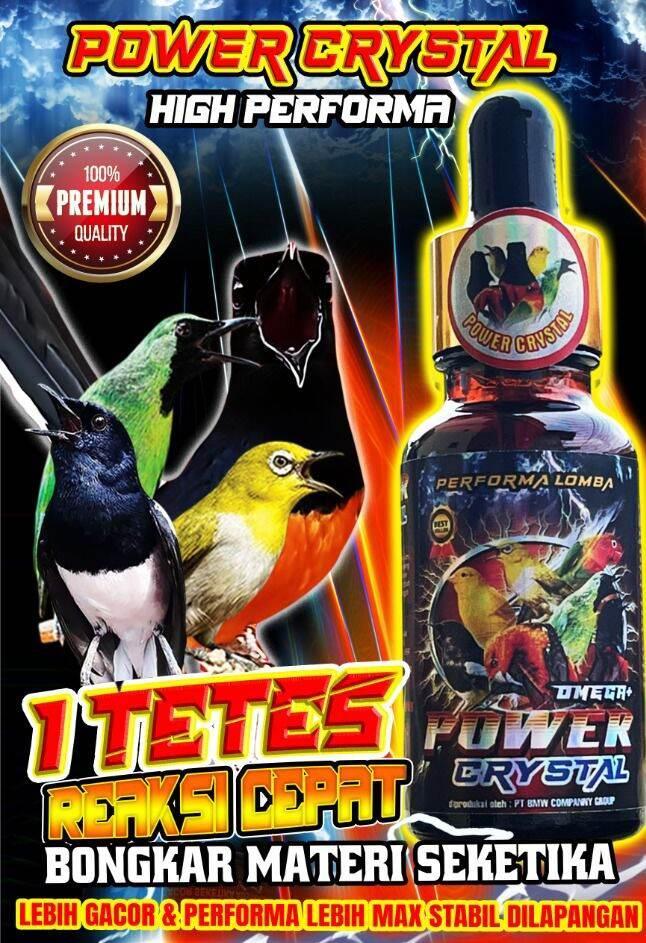 Agen Gacor Resmi: Solusi Terbaik untuk Burung Anda