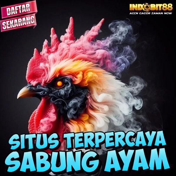 Agen Gacor Resmi: Solusi Terbaik untuk Burung Anda